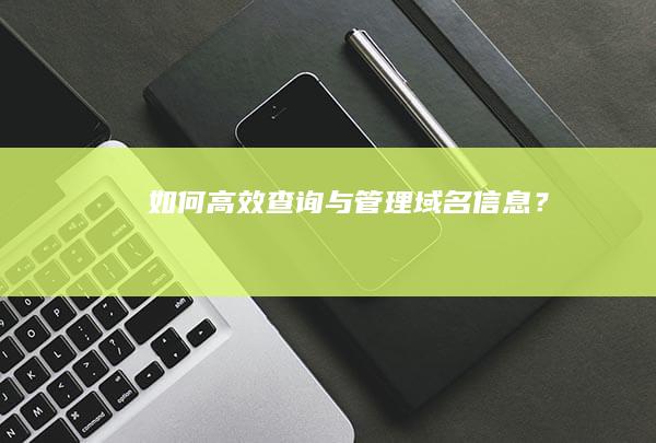 如何高效查询与管理域名信息？